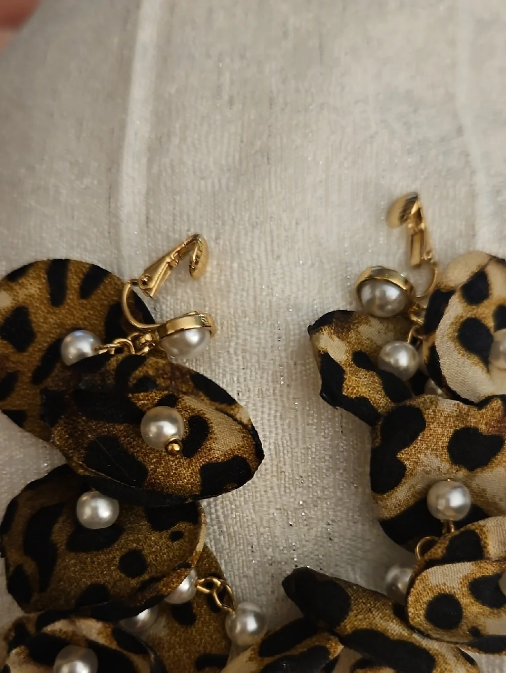 Cato bold leopard